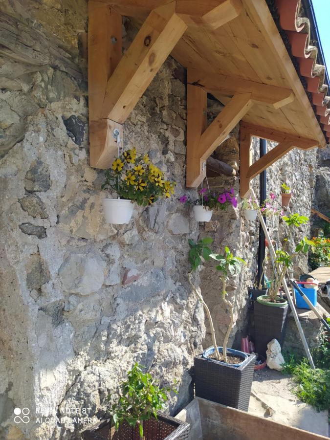 Massia Gasset Bed & Breakfast Senterada Exterior photo
