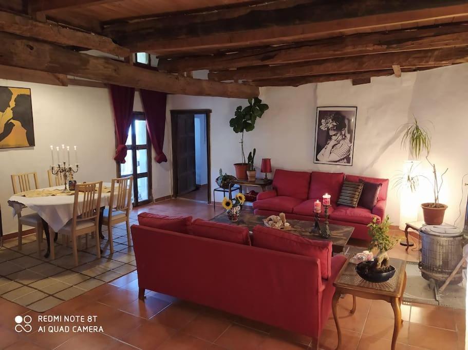 Massia Gasset Bed & Breakfast Senterada Exterior photo